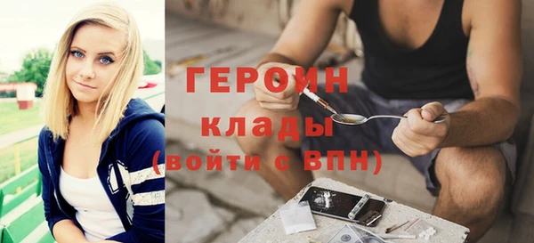 гидра Туринск