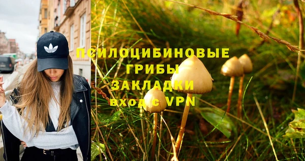 трава Домодедово