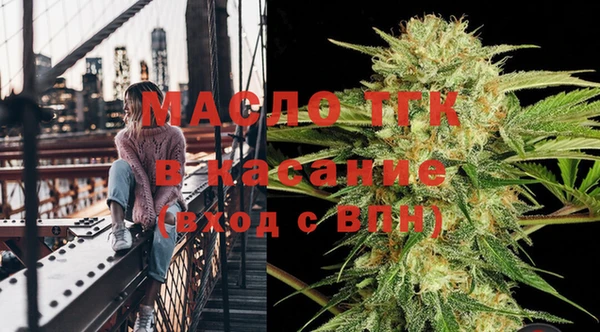 гидра Туринск